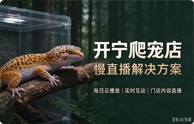 开宁爬宠店慢直播解决方案