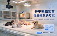 开宁宠物繁育慢直播解决方案