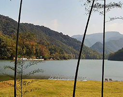 杭州富春方外酒店慢直播案例