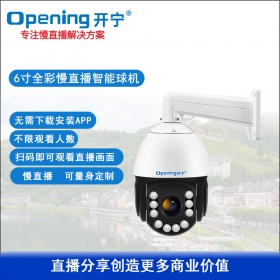 7寸慢直播监控直播智能高清球机