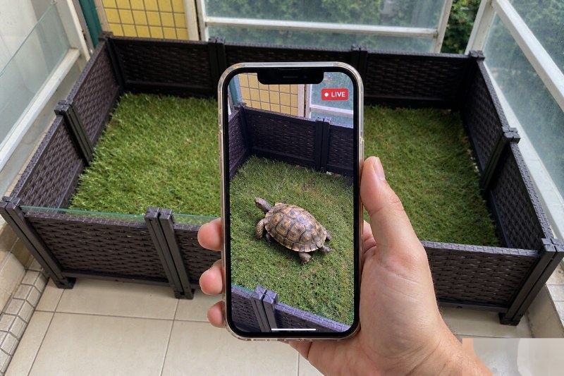 开宁陆龟繁育馆慢直播手机扫码观看效果:客户手机扫码观看指定孵化箱或幼龟培育箱的专属直播画面